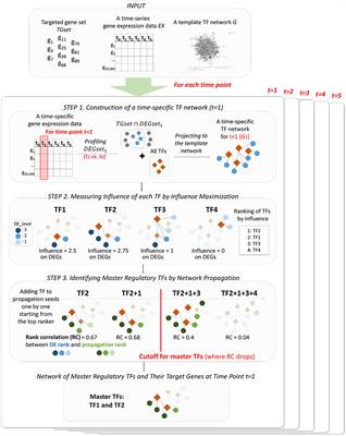 PropaNet: Time-Varying Condition-Specific Transcriptional Network Construction by Network Propagation